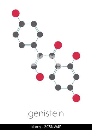 Genistein-Isoflavonmolekül. Stilisierte Skelettformel (chemische Struktur): Atome werden als farbcodierte Kreise dargestellt: Wasserstoff (versteckt), Kohlenstoff (grau), Sauerstoff (rot). Stockfoto