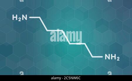 Hexamethylendiamin, Nylon (Polyamid) Baustein. Skelettmuskulatur Formel. Stockfoto