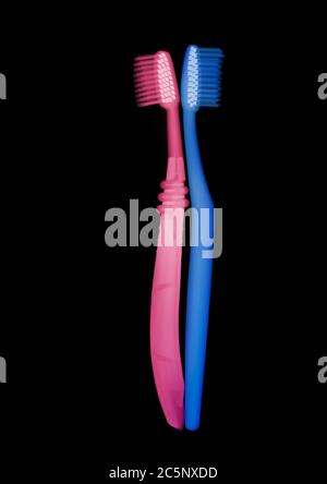 Rosa und blaue Zahnbürsten, farbige Röntgenstrahlen. Stockfoto