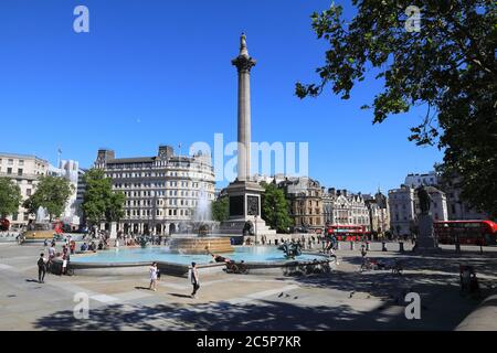 Nelson's Säule auf dem Trafalgar Square, an einem sonnigen Sommertag, im Zentrum von London, Großbritannien Stockfoto