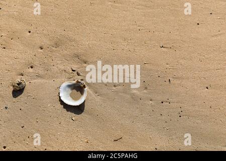 Wunderschöner tropischer Strand, auf der Insel Koh Mak, Thailand. Stockfoto