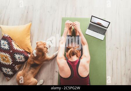 Draufsicht auf fit sportlich gesunde Frau sitzen auf Matte in Paschimottanasana Pose, tun Atemübungen, beobachten Online-Yoga-Kurs auf Laptop-Computer. H Stockfoto