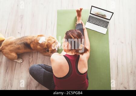 Draufsicht auf FIT Sportlich gesunde Frau, die ihren Körper auf einer Yogamatte streckt, Online-Yogakurs auf einem Laptop und ihren Beagle-Hund, der Compan hält, beobachtet Stockfoto