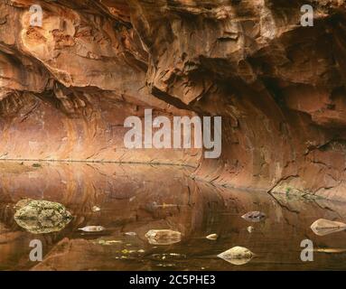Coconino National Forest AZ / OCT die Bogenwände des Coconino Sandsteins spiegeln sich in einem ruhigen Abschnitt der West Fork von Oak Creek. Stockfoto