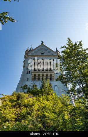 Schloss Neuschwanstein zwischen den Bäumen mit einem blauen klaren Himmel auf dem Hintergrund Stockfoto