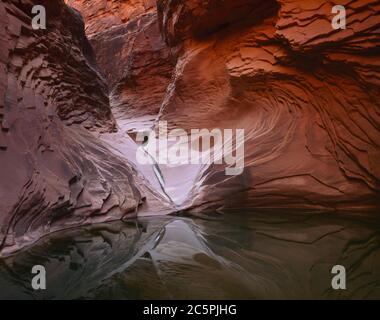 Grand Canyon Nat'l Park AZ/MAY EIN bald trockener Bach malt einen Silbersplitter über einem Abgrund aus kreuzgebetteten Kaibab-Sandstein im North Canyon Stockfoto