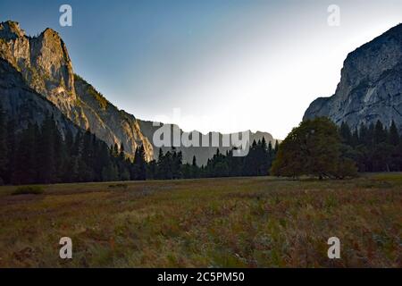 Eine Wiese im Yosemite Valley bei Sonnenuntergang, umgeben von hohen Granitklippen. Yosemite Nationalpark, Kalifornien. Stockfoto