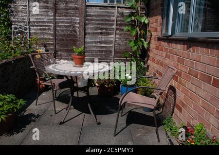 Läuferbohnen, Zucchini oder Zucchini und Sellerie wachsen auf Gartenpastion in Behältern von Tisch und Stühlen. Stockfoto