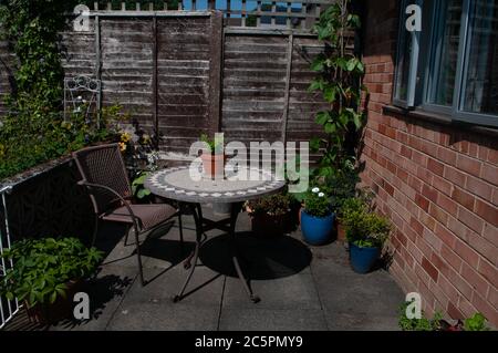 Läuferbohnen, Zucchini oder Zucchini und Sellerie wachsen auf Gartenpastion in Behältern von Tisch und Stühlen. Stockfoto