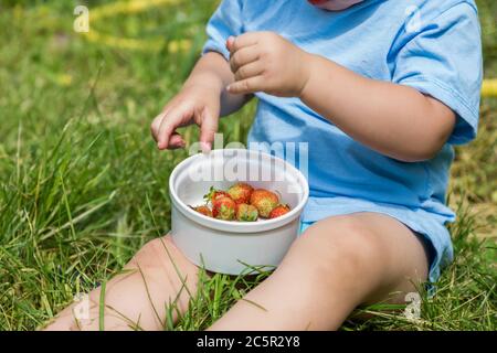 Der Junge hält in seinen Händen eine reife Erdbeere Stockfoto