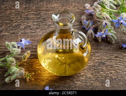 Borretschöl in einem Glaskrug auf einem Tisch Stockfoto