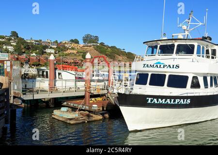 Angel Island Ferry, Tiburon, Marin County, Kalifornien, USA Stockfoto