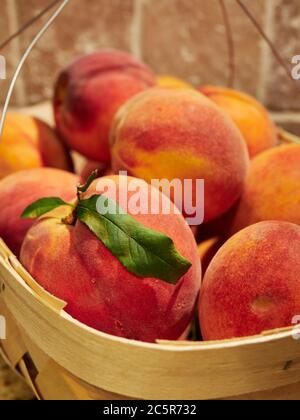 Frische, reife, klebende freie Pfirsiche ein Sommerobst in einem Korb auf einer Küchenarbeitspe. Stockfoto
