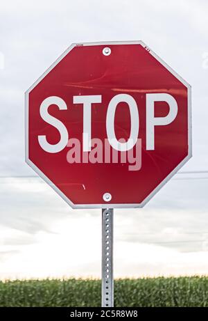 Stoppschild für Verkehr gegen bewölkten Himmel Stockfoto