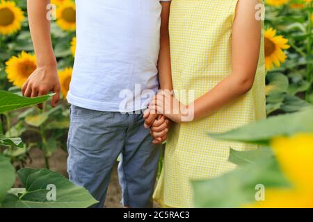 Zwei Kinder sind auf dem Feld mit Sonnenblumen Stockfoto