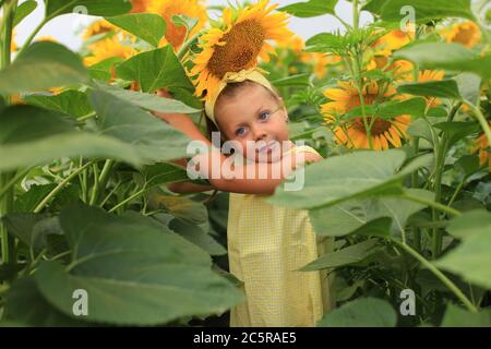 Schönes Mädchen in einem gelben Kleid in einem Feld mit Sonnenblumen Stockfoto