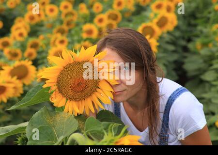 Schönes Mädchen in einem Feld mit Sonnenblumen. Stockfoto
