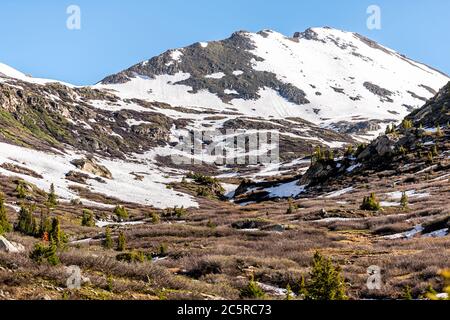 Schnee auf felsigen Bergen Blick und Pinien auf Wiese am Linkins Lake Trail auf Independence Pass in der Nähe von Aspen, Colorado im Sommer 2019 Stockfoto