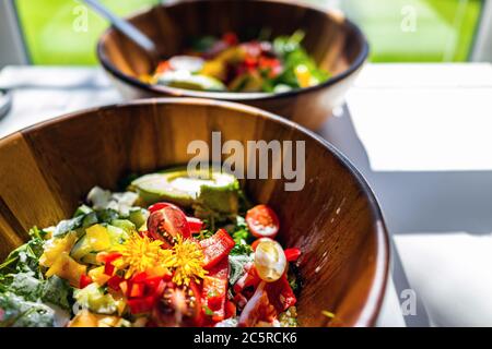 Nahaufnahme von zwei rohen Gemüsesalatschüsseln mit Löwenzahn-Blüten auf Grüns, roten Paprika und Erbstück Kirschtomaten Stockfoto