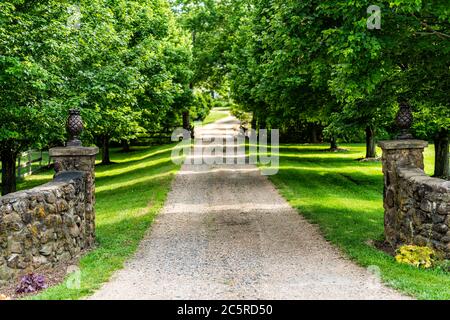 Gated offenen Eingang mit Straße Auffahrt in ländlicher Landschaft in Virginia Anwesen mit Steinzaun und Kies Schotterweg Straße mit grünen üppigen Bäumen in s Stockfoto
