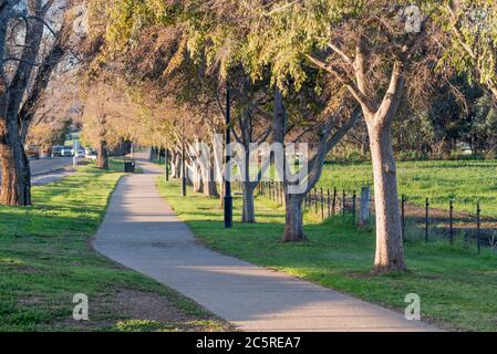 Ein leerer gemeinsamer Fahrrad- und Wanderweg am Stadtrand von Mudgee im zentralen Westen von New South Wales, Australien in der späten Nachmittagssonne Stockfoto