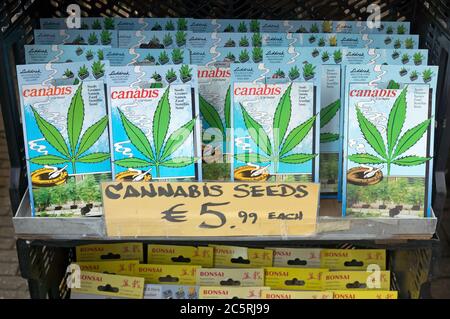 AMSTERDAM, NIEDERLANDE - MAI 30: Holländische Souvenirs zum Verkauf auf dem Straßenmarkt: Samen von Cannabis und Bonsai-Bäumen am 30. Mai 2014 in Amsterdam, Nethe Stockfoto