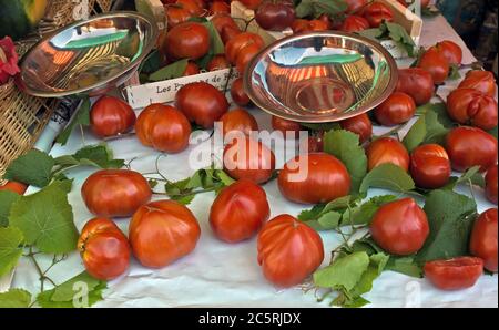 Tomaten mit grünen Blättern auf dem französischen Markt. Aufgenommen im Cours Saleya in Nizza Frankreich. Stockfoto