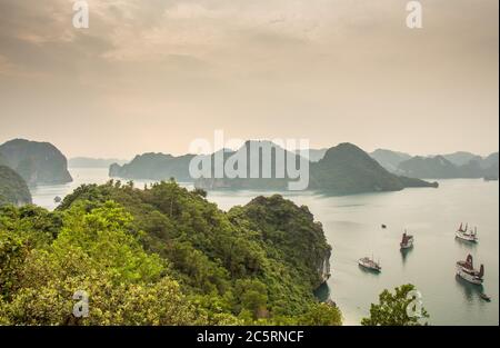 Ein schöner Blick auf die Inseln des UNESCO-Weltkulturerbes der Ha Long Bay, von hoch oben auf einer Klippe. Stockfoto