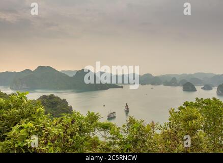 Ein schöner Blick auf die Inseln des UNESCO-Weltkulturerbes der Ha Long Bay, von hoch oben auf einer Klippe. Stockfoto