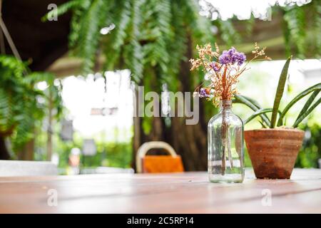 Eine Blume in Flasche Glas und kleinen Baum in Blumentopf und sie sind auf dem Holztisch im Café. Stockfoto