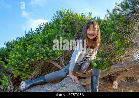 Acht Jahre altes Mädchen, das in San Diego, Kalifornien, einen Baum klettert Stockfoto