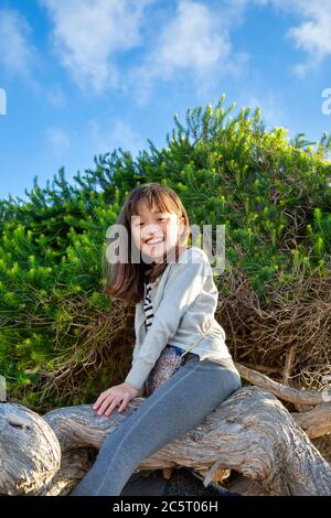 Acht Jahre altes Mädchen, das einen Baum klettert, San Diego, Kalifornien Stockfoto