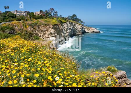 Küstenansicht in La Jolla, Kalifornien Stockfoto