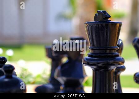 Riesige Schachbrettstücke im Garten mit selektivem Fokus Stockfoto