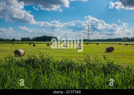 Field with Ernte and Strommasten Stockfoto