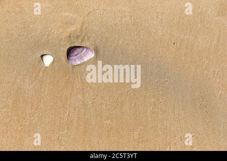 Wunderschöner tropischer Strand, auf der Insel Koh Mak, Thailand. Stockfoto