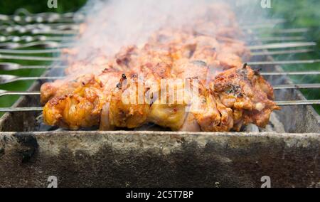 Schaschlik (Schischkebab) - traditionelle georgische Grill auf einer Weinrebe Holzkohle zubereitet. Stockfoto