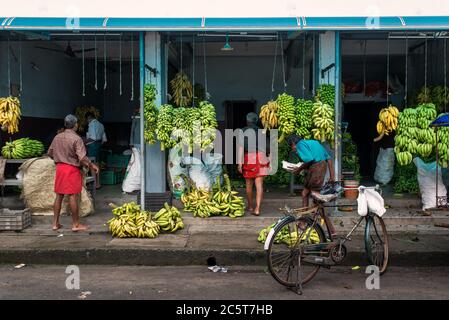 Banana Shop in Street Market, Fort Cochi, Kerala, Indien Stockfoto