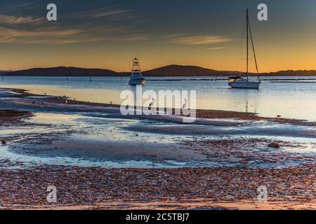 Wasserlandschaft im Henderson Park, Lemon Tree Passage Port Stephens. NSW, Australien Stockfoto