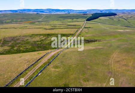 Dere Street, Roman Road in Whitton Edge bei Jedburgh, Scottish Borders, Großbritannien Stockfoto