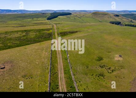 Dere Street, Roman Road in Whitton Edge bei Jedburgh, Scottish Borders, Großbritannien Stockfoto