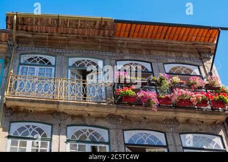 Guimarães, Portugal - schöne erhaltene mittelalterliche bunte traditionelle Steinhäuser mit Holzfenstern und kleinen Balkonen und Blumentopf Stockfoto