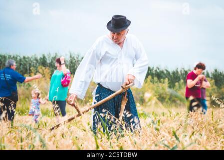 Zrenjanin Serbien 04. Juli 2020, ein Fest der Menschen in alten Trachten, die Getreide mit Sense, ungarischen und Vojvodina Kostüme mähen Stockfoto