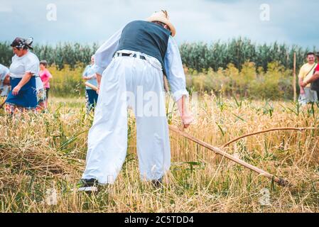 Zrenjanin Serbien 04. Juli 2020, ein Fest der Menschen in alten Trachten, die Getreide mit Sense, ungarischen und Vojvodina Kostüme mähen Stockfoto