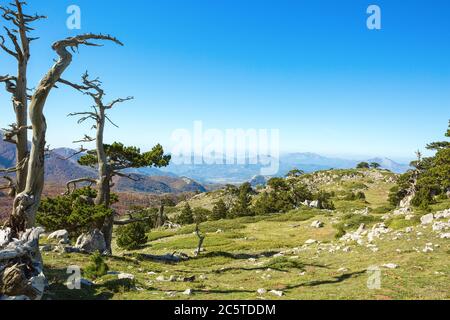 Panoramablick von Serra Di Crispo, Pollino Nationalpark, Süditalien. Stockfoto