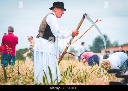 Zrenjanin Serbien 04. Juli 2020, ein Fest der Menschen in alten Trachten, die Getreide mit Sense, ungarischen und Vojvodina Kostüme mähen Stockfoto