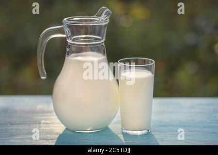Frische Milch wird in einen Krug und Glas gegossen, die auf einem hölzernen türkisfarbenen Tisch vor dem Hintergrund von grünem Gras im Sonnenlicht stehen. Ziegenmilch ist Stockfoto