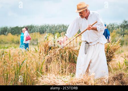 Zrenjanin Serbien 04. Juli 2020, ein Fest der Menschen in alten Trachten, die Getreide mit Sense, ungarischen und Vojvodina Kostüme mähen Stockfoto