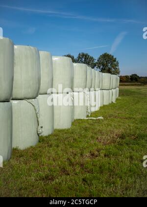 Runballs, Heuballen in Folie gewickelt und übereinander zur Lagerung gestapelt. Stockfoto