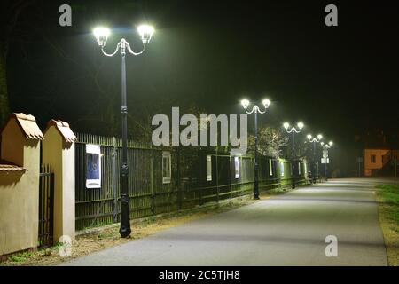 Fußgängerstraße nach Einbruch der Dunkelheit mit LED-Lampen beleuchtet. Bäume bei Nacht. Stockfoto